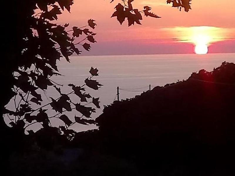 307C3ED7F9DF43C29D8C4989424BA003