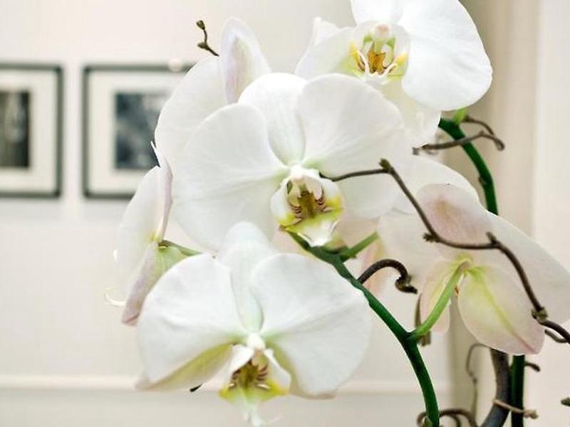 9D377E5B2F6652AFB10758EE64E6CDC6