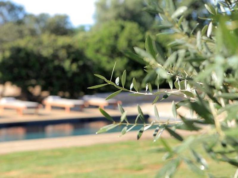 20287B45B379C6CBEB7466FE4D472770