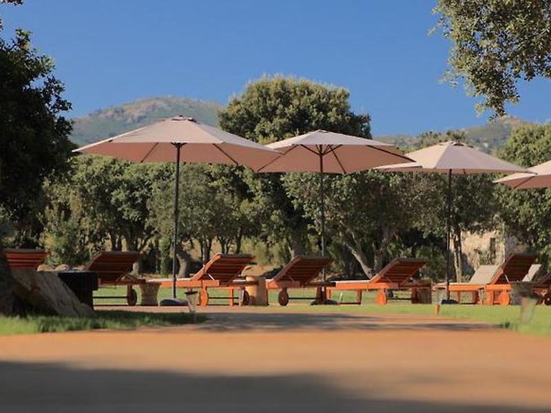 74031EB81C7B4778DFA905C10A58DD41