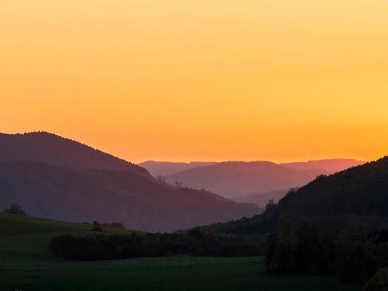 D8077DA96D3E04941E1659C27C265CFB