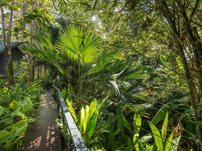 7DFE7CFB3FC7C2ADF035DBF77A38782D