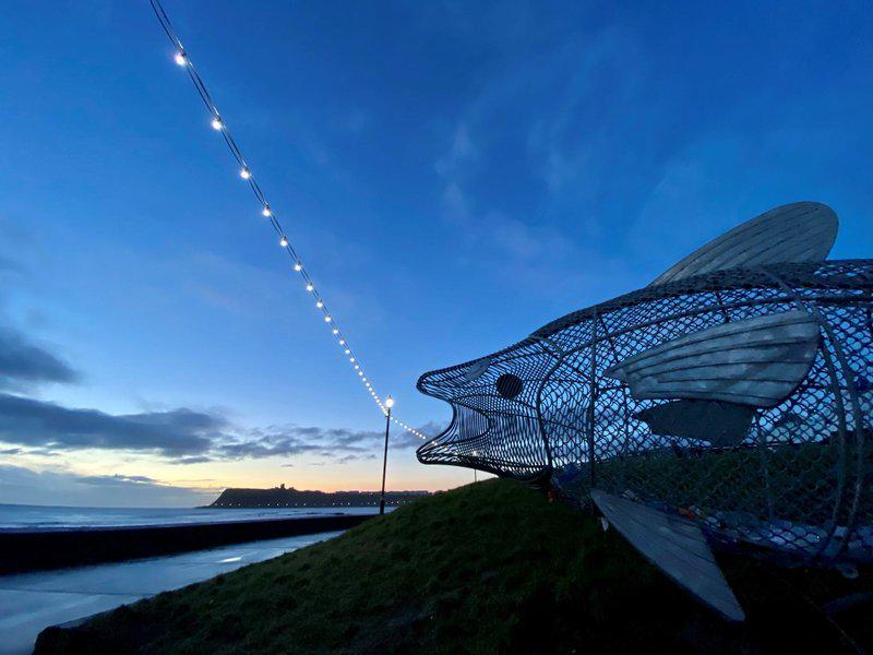 1CD0AE722CC6481B3A022910C9D03CF4