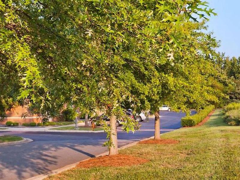 D544B964514C3E05A2EF9404B2546E63