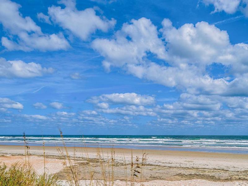 24182389B551E37434CB8EA8180F39DD