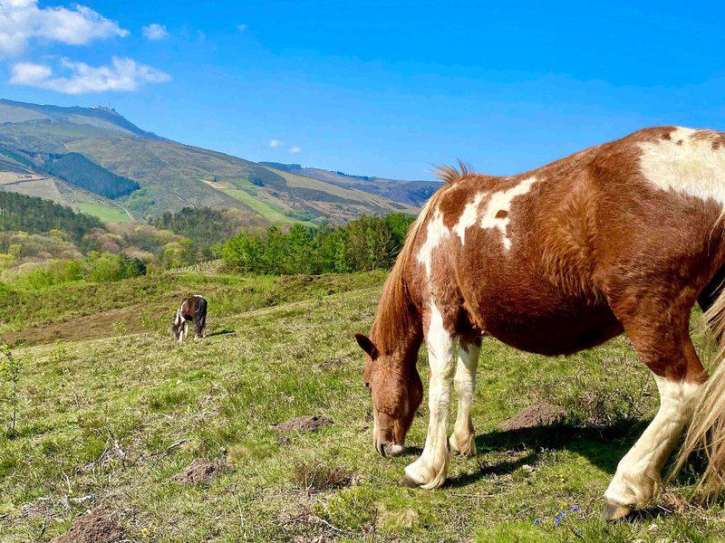 778BECDC495C1068EA5D66547342AA7B