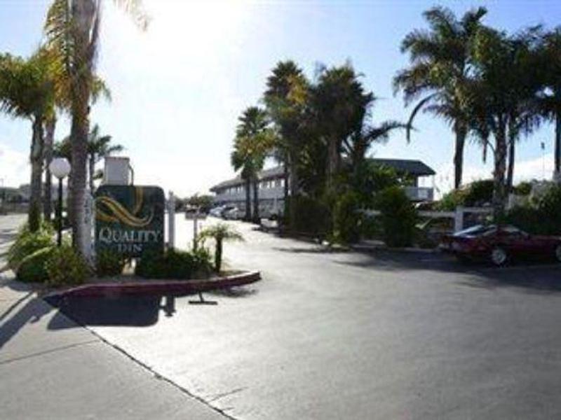 5898EC20525BCE53E43B3350F029CBD8