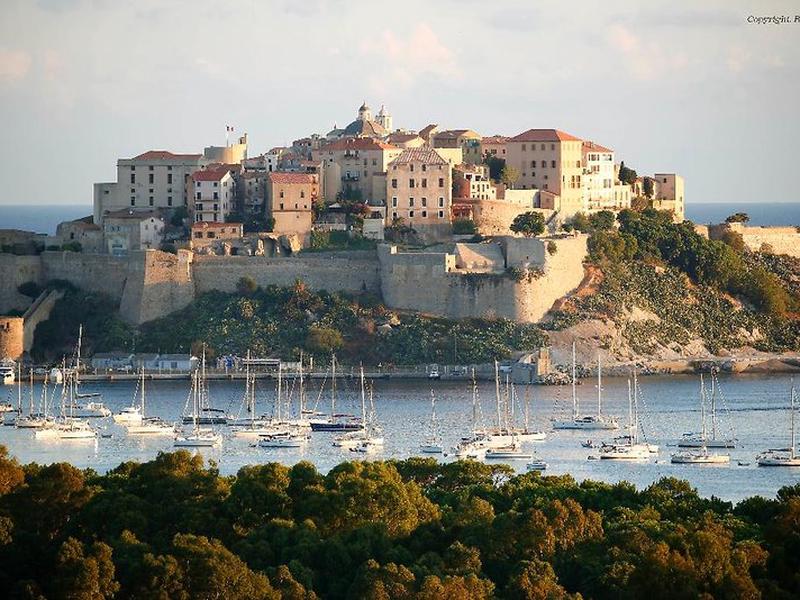 A3F0716E628DD2837AE94E85B503EE12