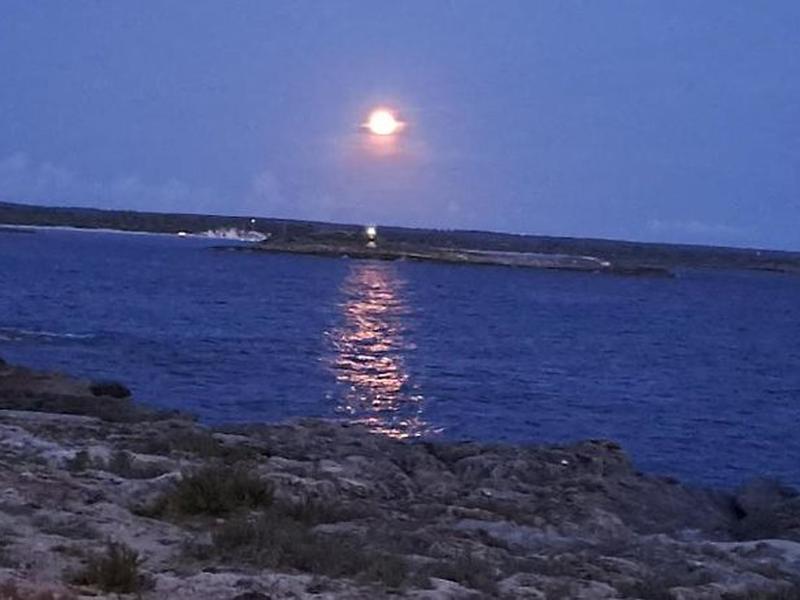 CAF635D17B125FF10C68AF7A47E06AC6