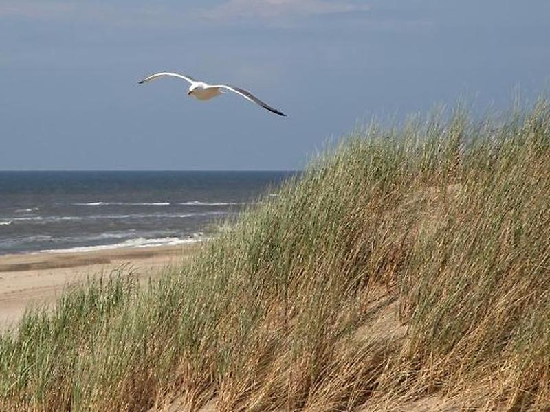 CF76911C3DCA8E247F0EDFC851E3EFB3