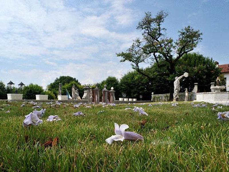 209E97CB689EA8AE1FBBE7C956C2A1C8