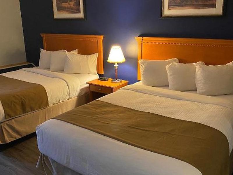 A8D4D987A20D3DAB7C881AAA8958E863