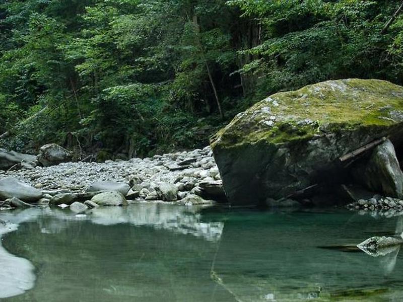 36AF4592330AA190272654F5633FA7B0