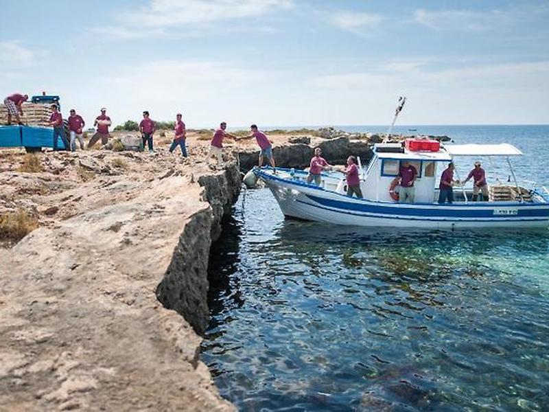 16A957A6C154337638227033F9AE18A0