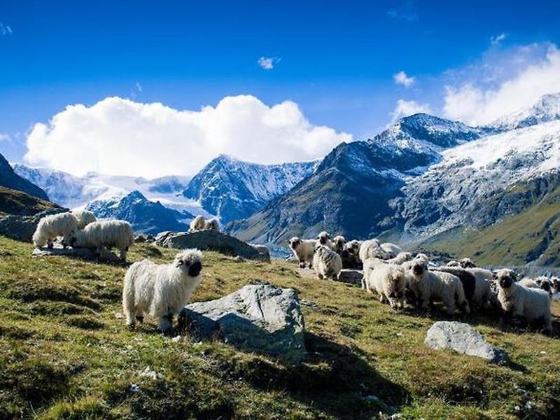 5887C0B1515DDAC31E5962CD330AA6F1