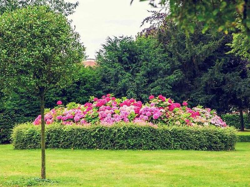 9A51D9EEE8F377DE4E4C730750DDEB77