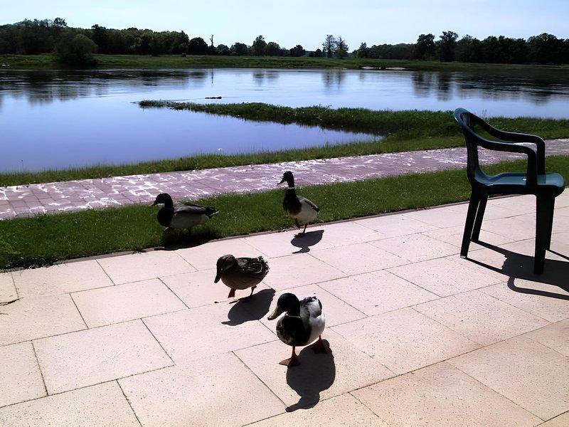 08D6D5BBD1E88BE6CE78F10D5E1531A3