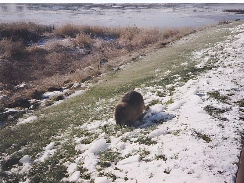 B85C11A2740A3B669A56CD61DC3198E4