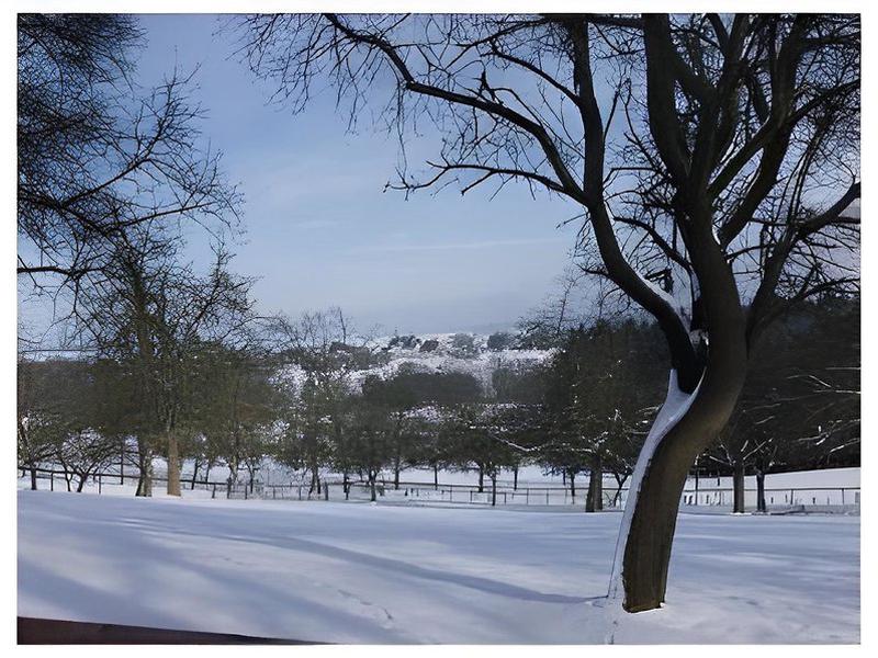 52A1909AD428A505CA3457F22C24C3CB