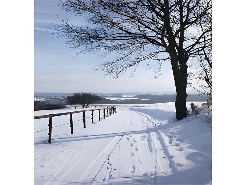 DC8BED98517A9B8CEA1BE78819C905E0