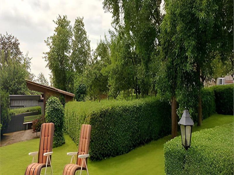 9F8147AAA03802A62BC1A07A5911C006