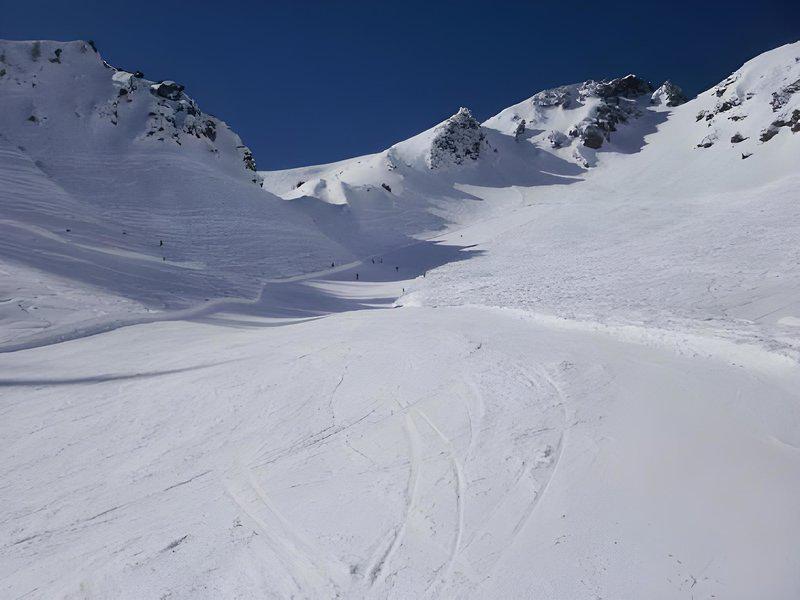 F8F22E250C42E392714FCC7B8A825B35