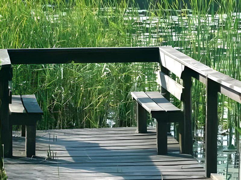 1D0F0992128FDD5F9BEA652ED8138A91