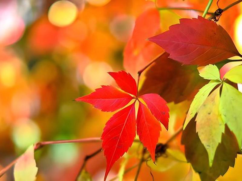 A890623463A8F0AED78EDF372F1F3DA8