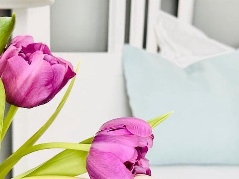 8F44C2F6E80C9B01C61403656ABE7D3B