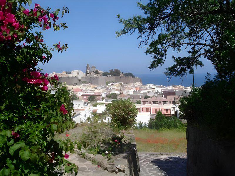 24BF77921260205D26AB54C730882896