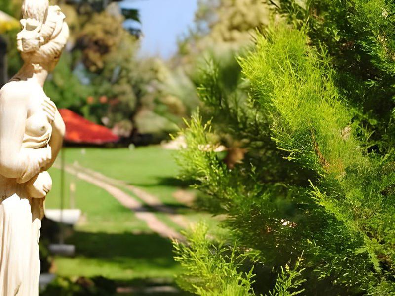 D5A193258125FDD579A45C332D7C39CC