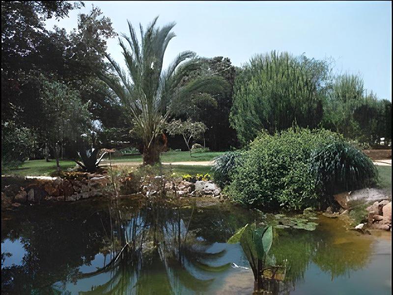 2CF0E656454F5AE1900F571B5A8F1418