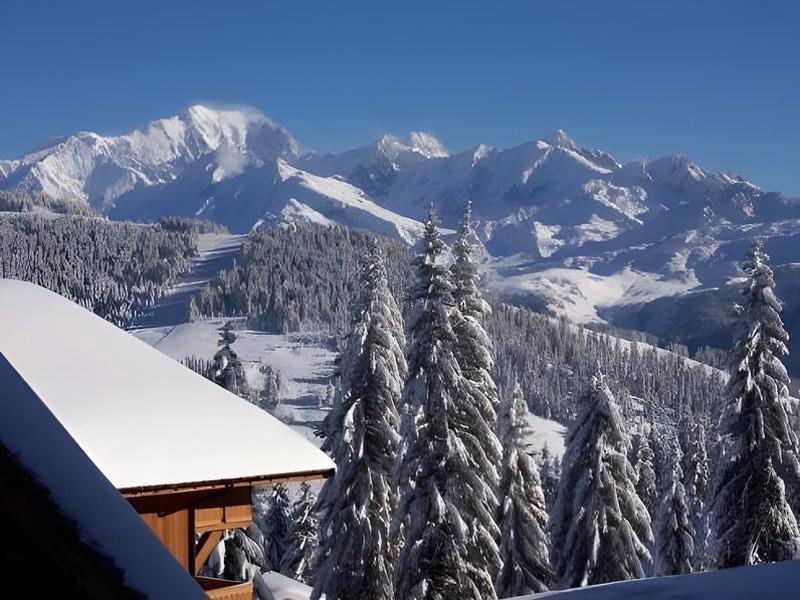 CB61FCE85BADA68B04EC961D12B2C65F