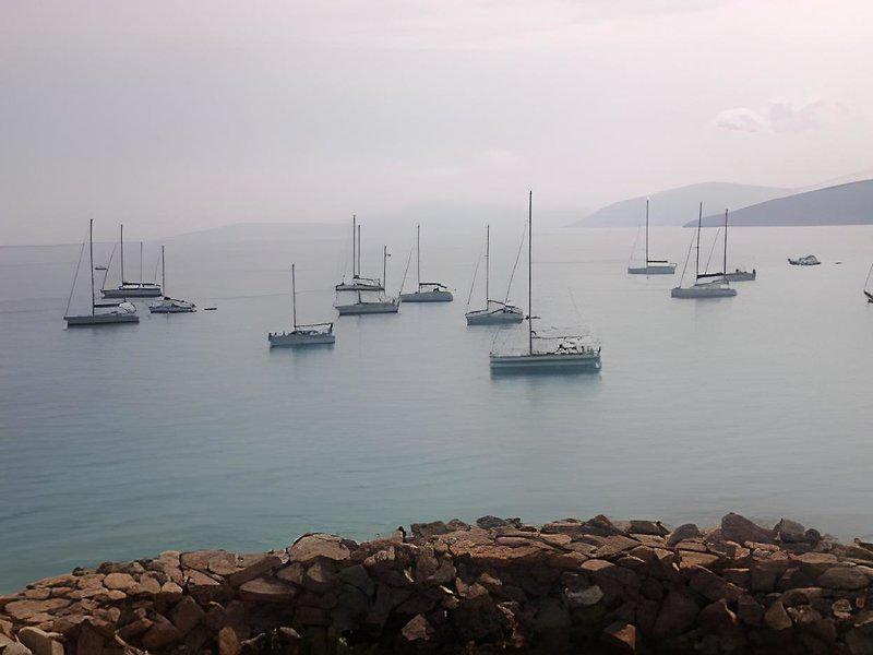 ACF1D4167004443BF012D78565B44D8A