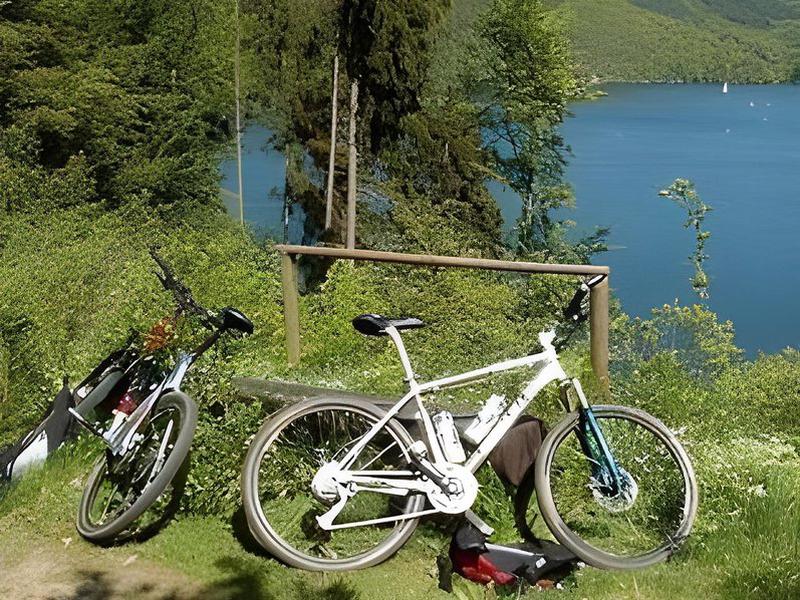 9C415357806A053029928F5899D68406