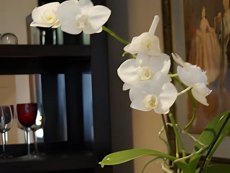 9C0A3A70B70D781B6C78E058AF886826