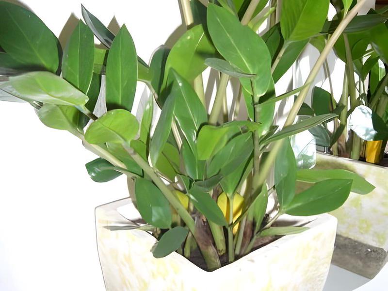 7DB3144607429F6735750C16B1102A41