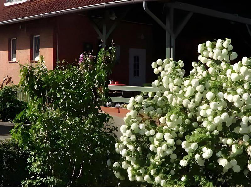 2F55930AAAD91EDA13CA4558A5F0AF7C