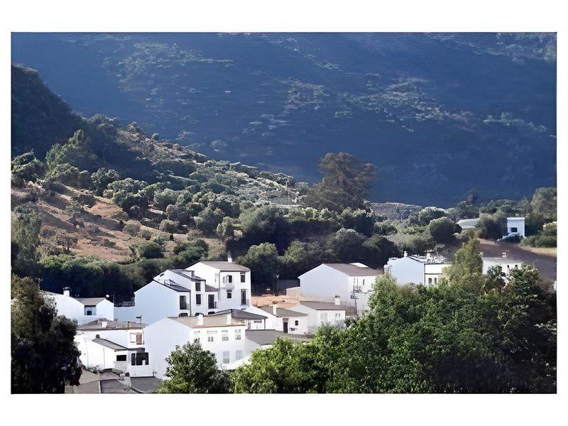 11A492BD5BE600629970244F62928F06