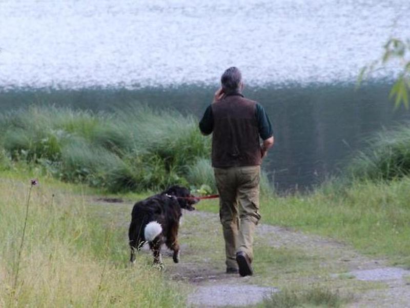 686ABBAB7FFFAED9073E785B72B47691