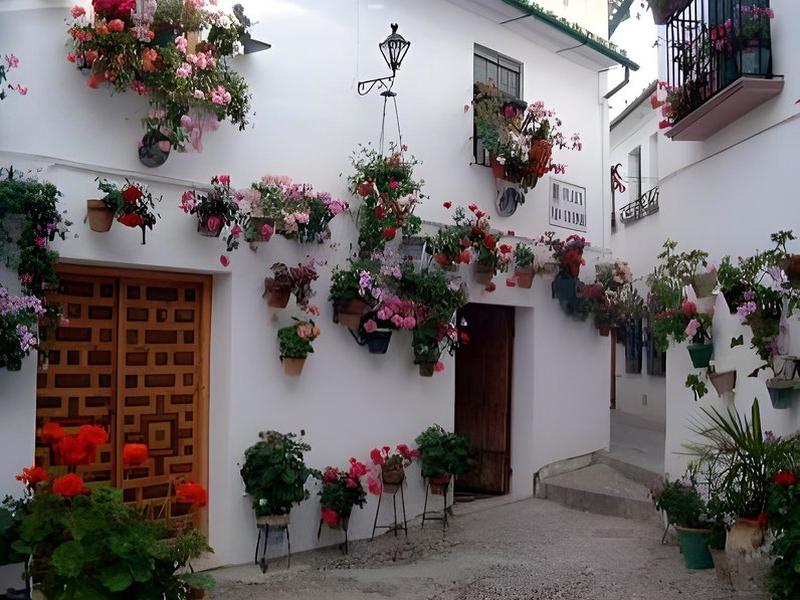 730F571449C9532CFD414202D640D5E5