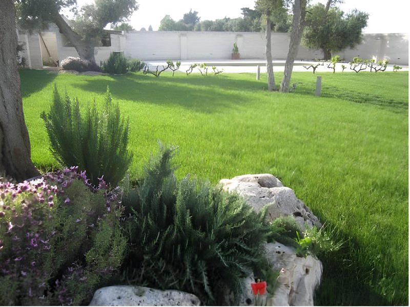 D31B1D33525FA8BCE742144BEE9C9D52