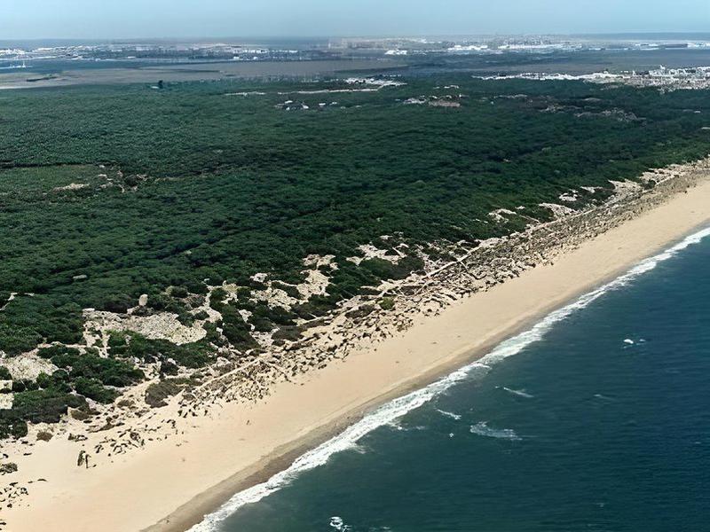 AA3EE11854C81263FBF4F8C309FC0E83