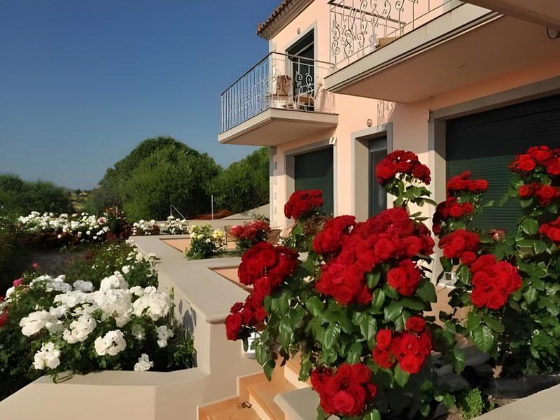 FE1B69EE16B0172442C475FD5F97197A