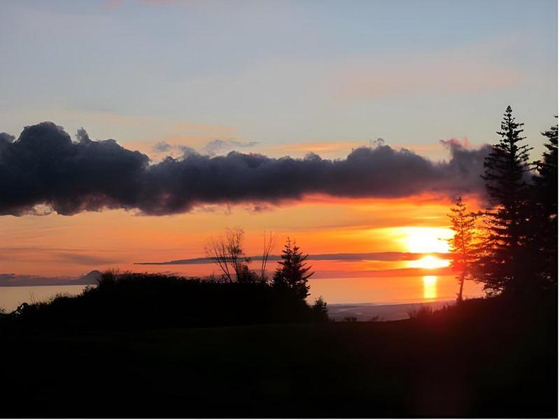 06568BA54133F6AC26B79881B3655999