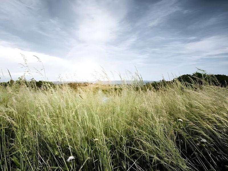 CDAA399094015A7054CD207AA2F69C73