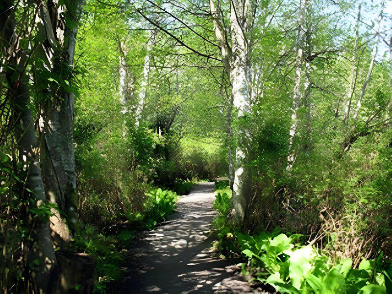 2796A8D637381FC796D38E5BC2BD40BB