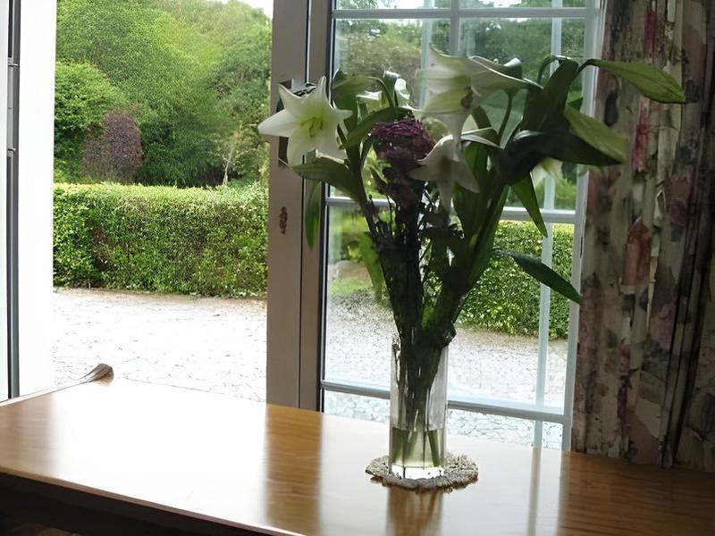 791FE13BBF0DE8BAA840330D0BCEF789