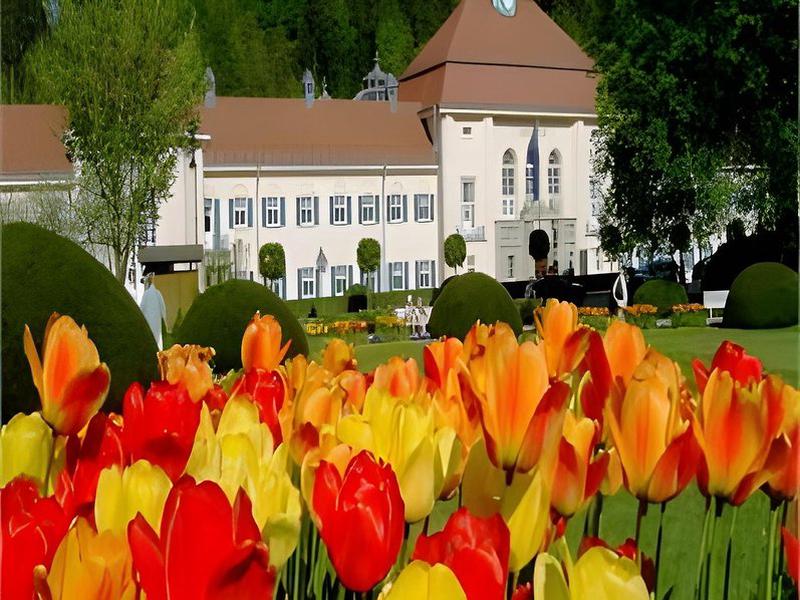 4280CB222E6A6A2D794330574D2F7FB8