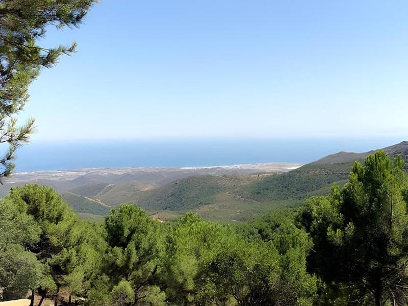 FF3D8BBEB1767179DBFECA6F462EA4DB